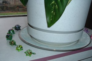 The mended turtle cheerfully marches around the mended plate.