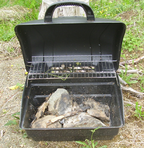 The firebox from the barbecue makes a safe, contained place for an outside campfire.
