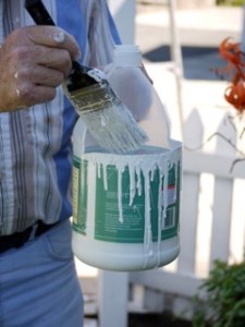 Vinegar jug holds paint