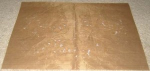 (2) Let the circles dry for several days until all moisture has evaporated. I put the Teflon sheet on the floor in front of a furnace vent.